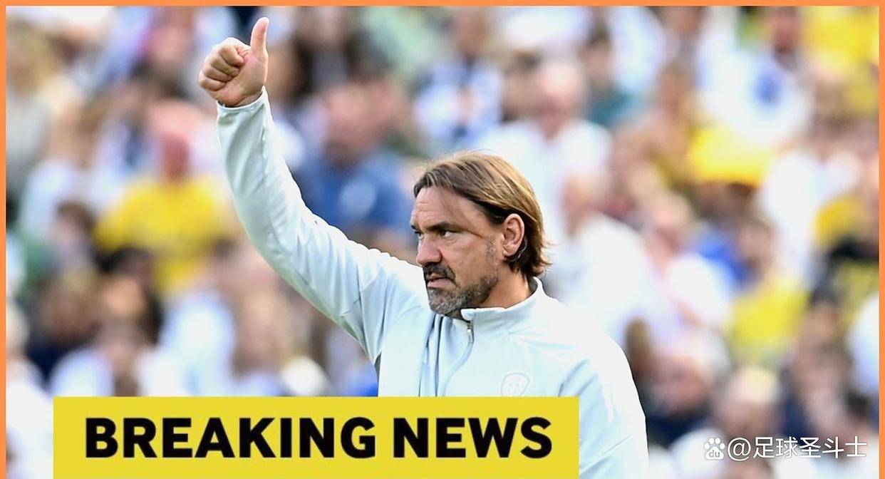 利兹联达成协议签下意甲多面手奥卡福,转会费2100万欧元 利兹联达成协议签下意甲多面手奥卡福,转会费2100万欧元